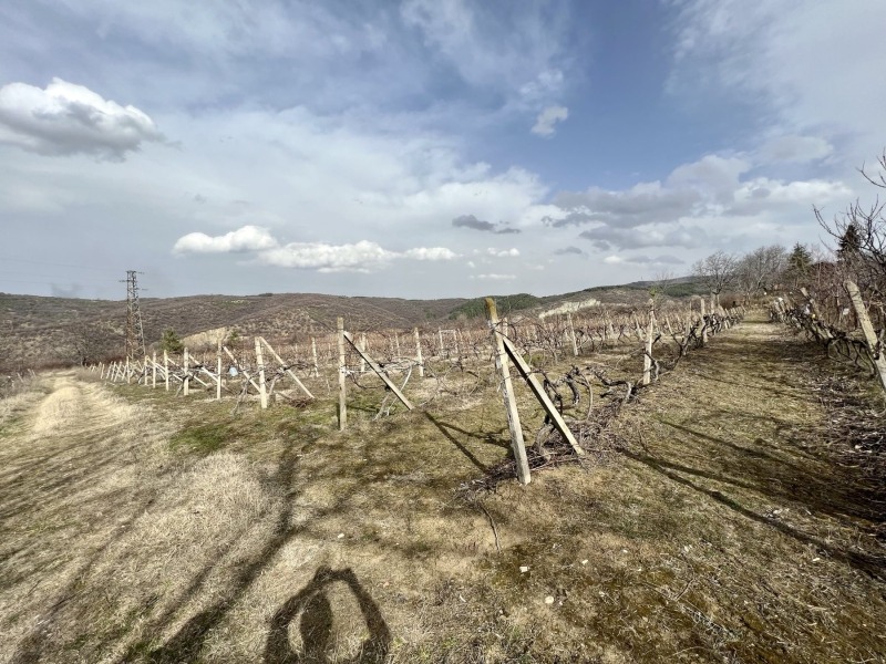 Продава  Парцел област Пловдив , с. Извор , 1000 кв.м | 83021739 - изображение [2]