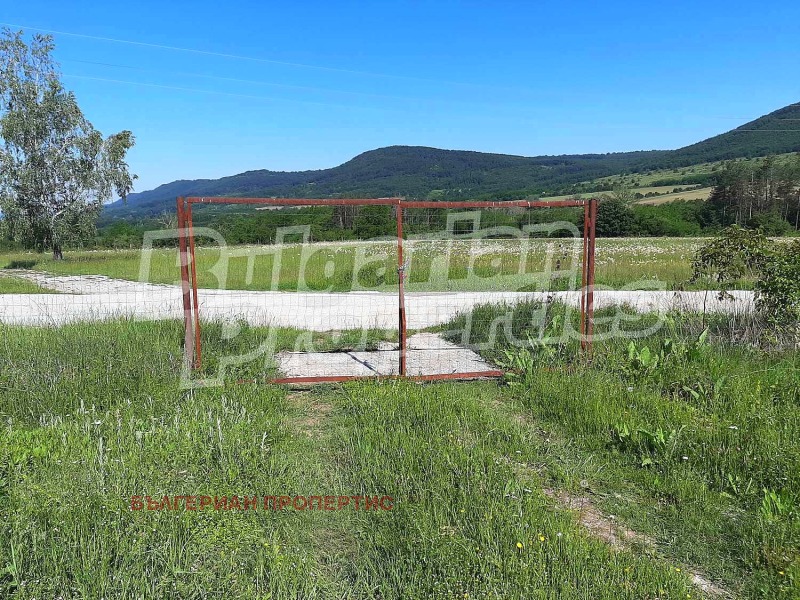 Na sprzedaż  Grunt region Gabrowo , Idilewo , 11.643 dka | 37579202 - obraz [5]