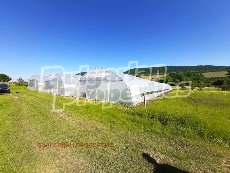 Na sprzedaż  Grunt region Gabrowo , Idilewo , 11.643 dka | 37579202 - obraz [3]