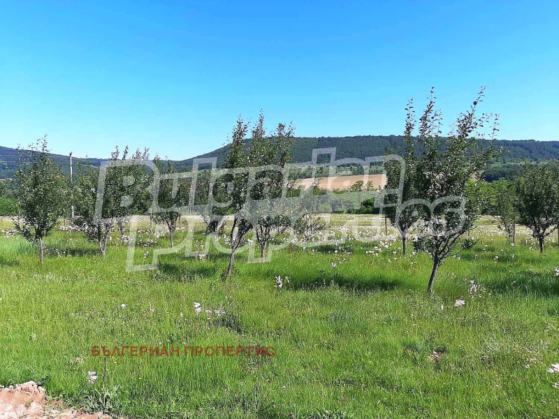 Na sprzedaż  Grunt region Gabrowo , Idilewo , 11.643 dka | 37579202
