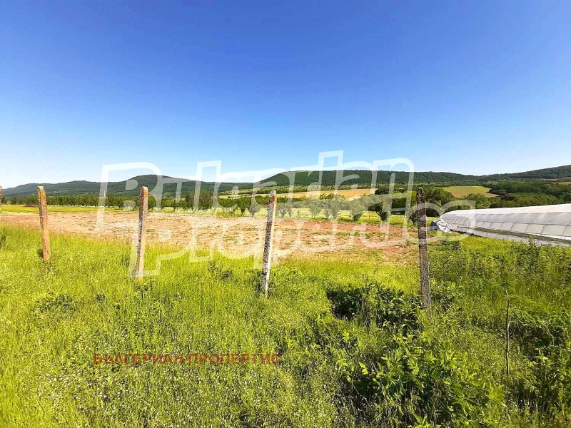Na sprzedaż  Grunt region Gabrowo , Idilewo , 11.643 dka | 37579202 - obraz [14]
