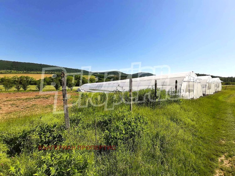 Na sprzedaż  Grunt region Gabrowo , Idilewo , 11.643 dka | 37579202 - obraz [15]