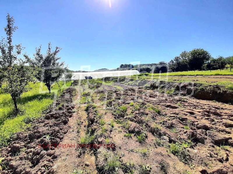 Na sprzedaż  Grunt region Gabrowo , Idilewo , 11.643 dka | 37579202 - obraz [13]