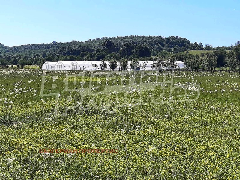 Na sprzedaż  Grunt region Gabrowo , Idilewo , 11.643 dka | 37579202 - obraz [16]