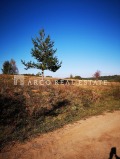 Продава ПАРЦЕЛ, град София, с. Железница • 90000 € • 31631065 — Holmes.bg