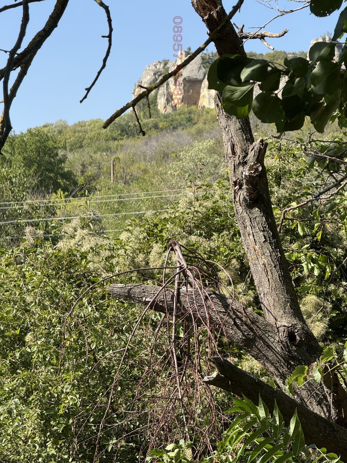 ������� ���� | Imot.bg � ����������� 10