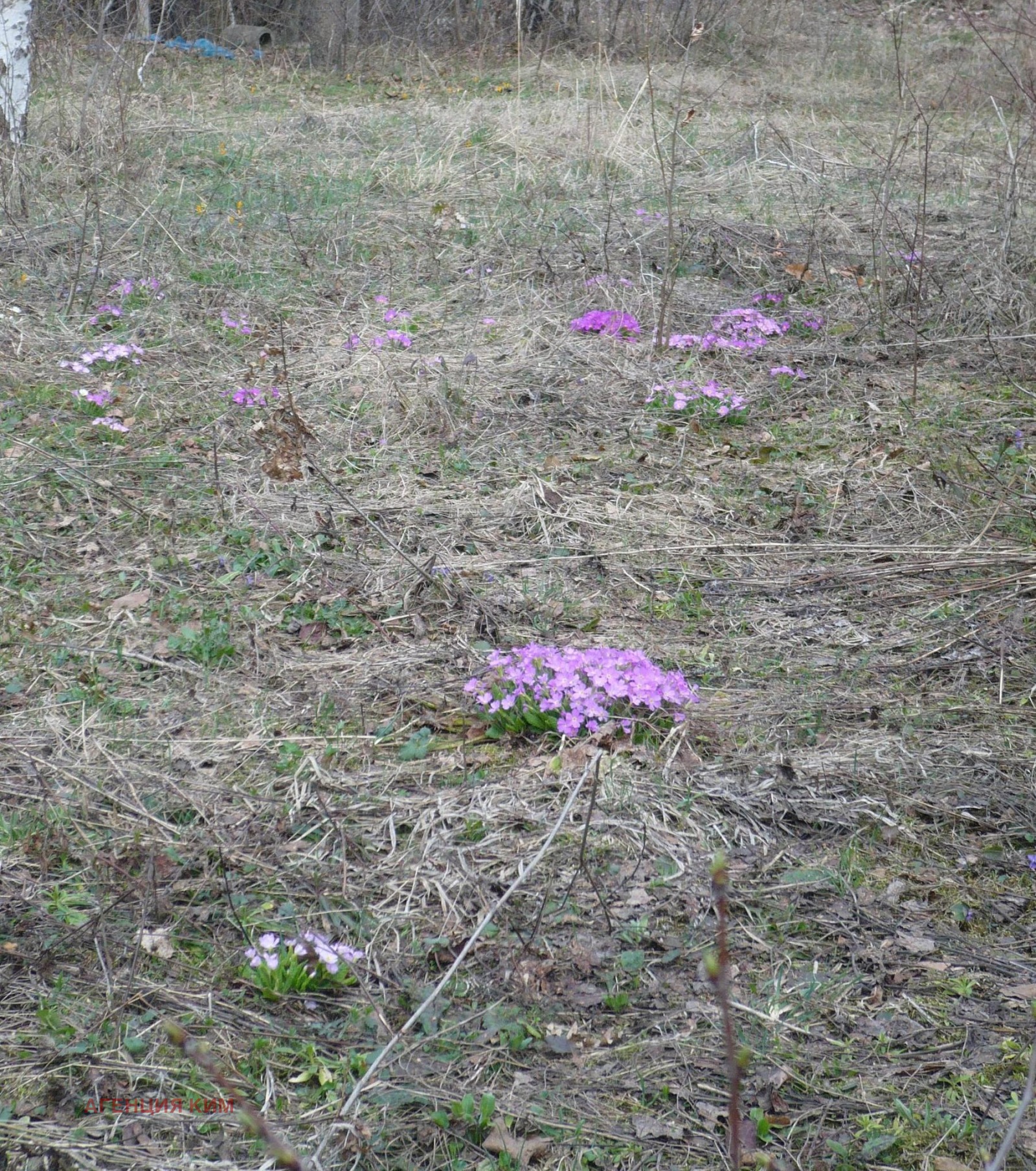 ������� ������ | Imot.bg � ����������� 3