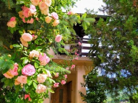  2- | Imot.bg    6