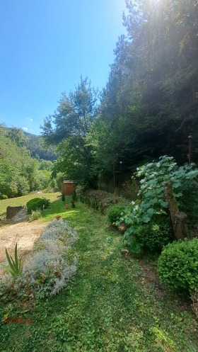 ������� ���� | Imot.bg � ����� ������ 13