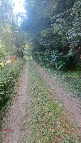������� ���� | Imot.bg � ����� ������ 11