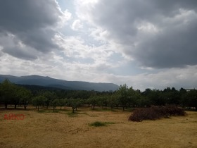 Οικόπεδο Παντσαρεβο, Σοφηια 1