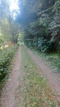 Продава  Вила област Перник , с. Чуйпетлово , 50 кв.м | 55575836 - изображение [11]