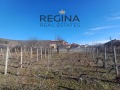 Продава ПАРЦЕЛ, област Пловдив, гр. Хисаря • 56500 € • 67497205 — Holmes.bg