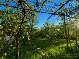 ������� ���� | Imot.bg � ����� ������ 9