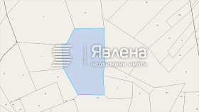 ����� ������� ������,�. ��������, ������ ������