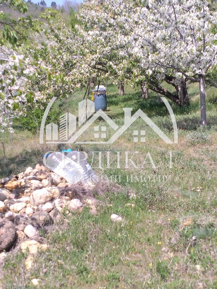 For Sale  Land region Kyustendil , Dragovishtitsa , 8 dka | 32197700 - image [8]