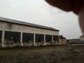 Продава ПРОМ. ПОМЕЩЕНИЕ, с. Муселиево, област Плевен, снимка 3