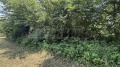 Продава ПАРЦЕЛ, с. Ловнидол, област Габрово, снимка 5
