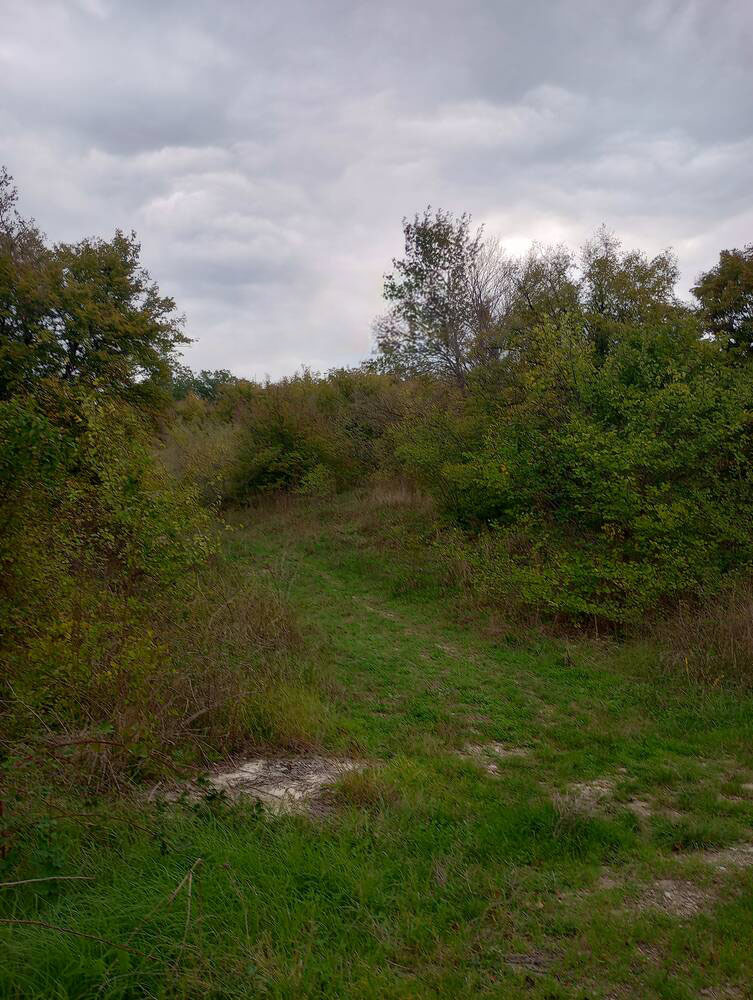 Продава ПАРЦЕЛ | Imot.bg — изображение 2