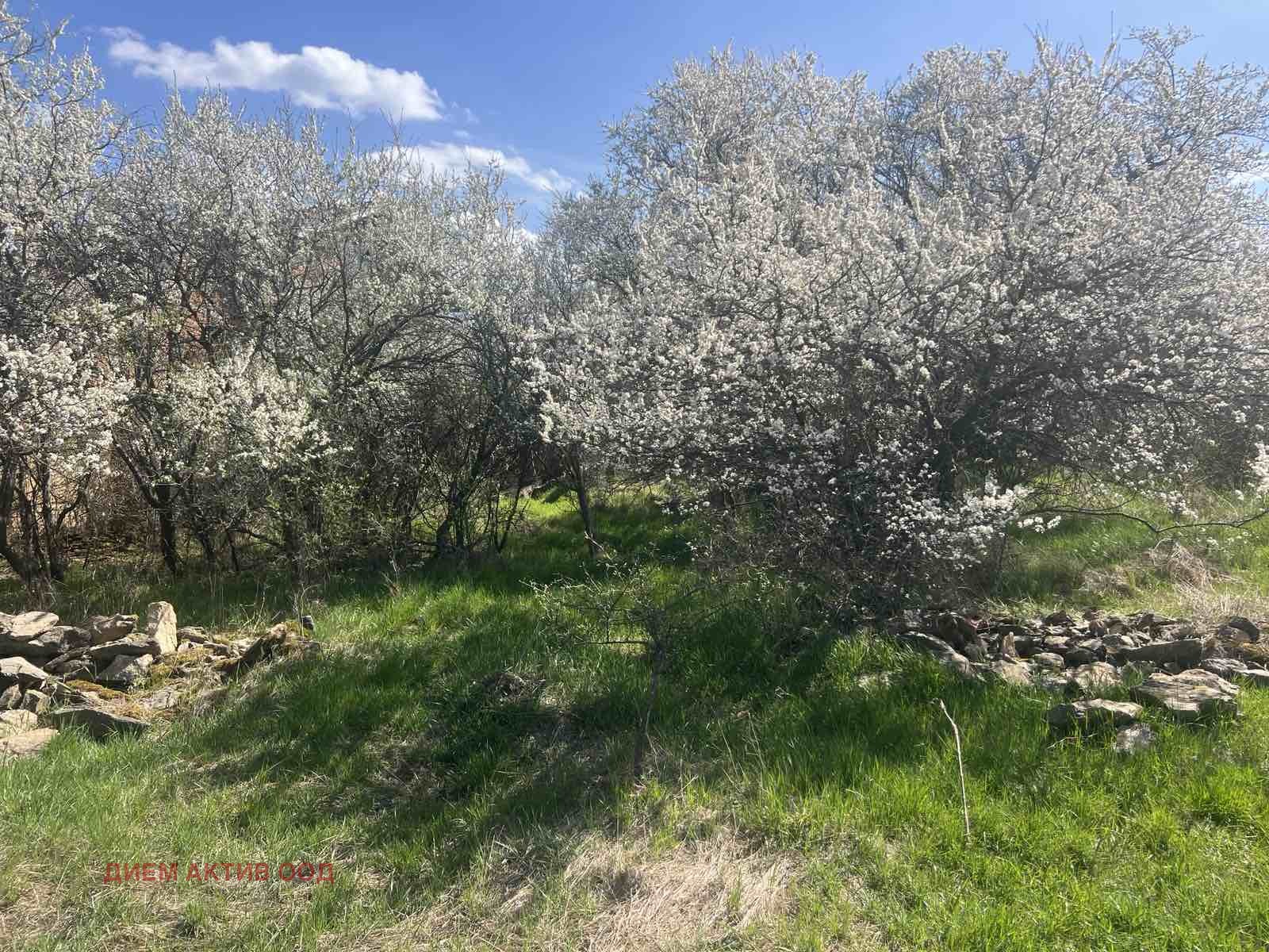 Продава КЪЩА, с. Боерица, област София област, снимка 5 - Къщи - 54617181