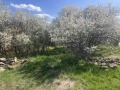 Продава КЪЩА, с. Боерица, област София област, снимка 5