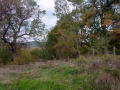 Продава ПАРЦЕЛ, област Бургас, с. Кошарица • 67400 € • 59414331 — Holmes.bg