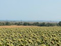 Продава ПАРЦЕЛ, област Бургас, гр. Каблешково • 80000 € • 29394754 — Holmes.bg