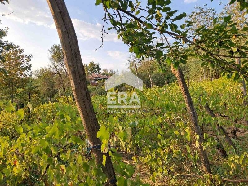 Продава ПАРЦЕЛ, гр. Алфатар, област Силистра, снимка 7 - Парцели - 55041061