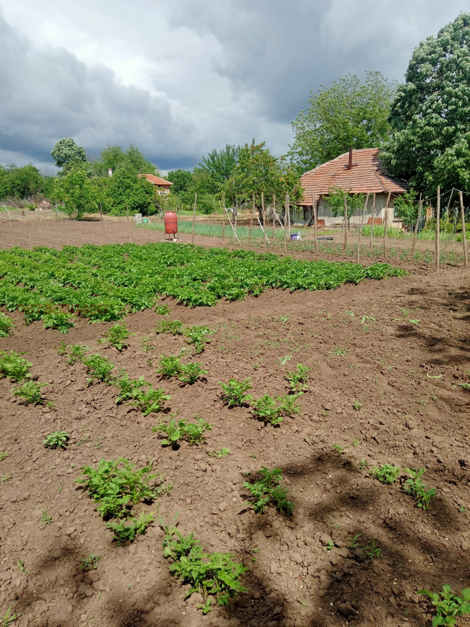 Продава КЪЩА, с. Павел, област Велико Търново, снимка 13 - Къщи - 54806392