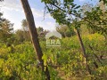 Продава ПАРЦЕЛ, гр. Алфатар, област Силистра, снимка 7