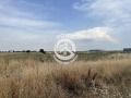 Продава ПАРЦЕЛ, област Пловдив, с. Радиново • 441760 € • 63363404 — Holmes.bg