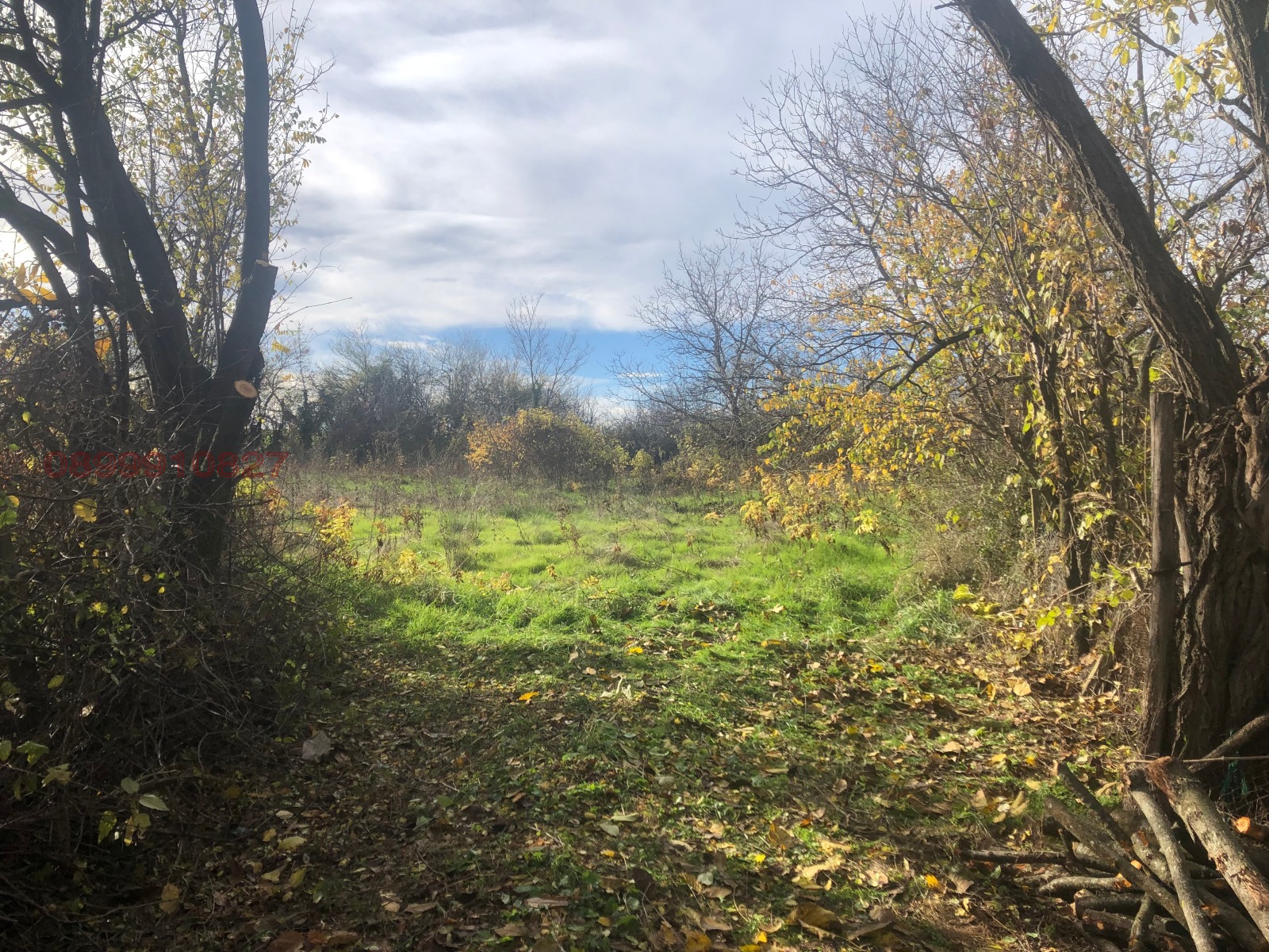 ������� ������ | Imot.bg � ����������� 8