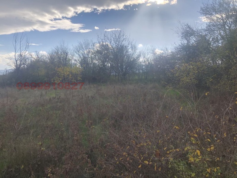 Продава ПАРЦЕЛ, с. Церова кория, област Велико Търново, снимка 3 - Парцели - 52781146