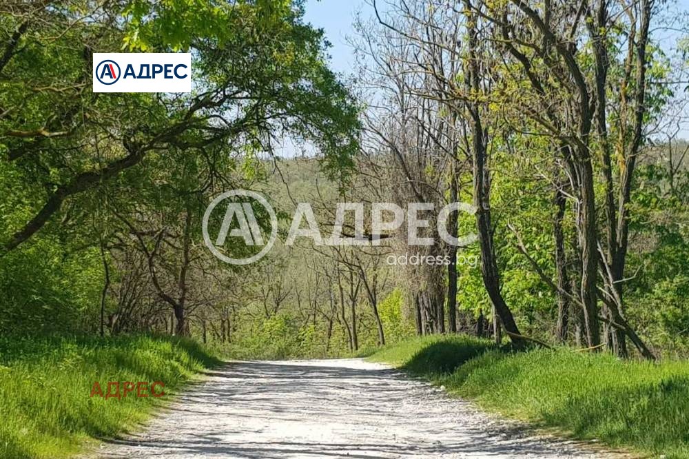 Продава ПАРЦЕЛ, гр. Варна, Галата, снимка 15 - Парцели - 55610021
