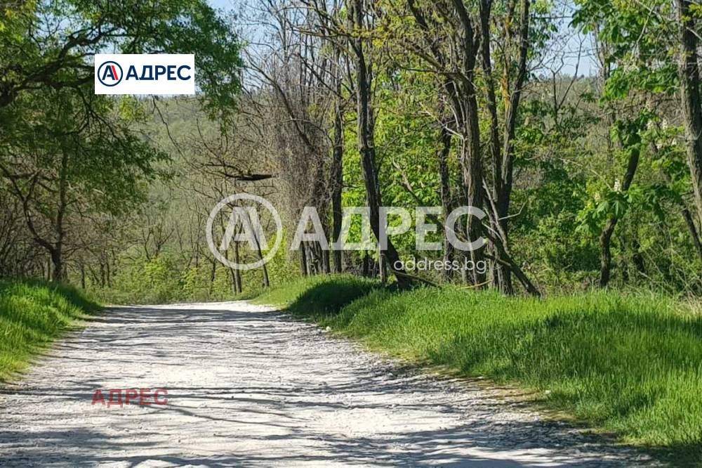 Продава ПАРЦЕЛ, гр. Варна, Галата, снимка 14 - Парцели - 55610021