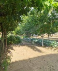 Продава КЪЩА, област Пловдив, с. Голям чардак • 70000 € • 21771263 — Holmes.bg