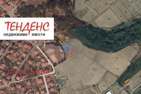 ����� ������� ������,�. ������, ������ ��������