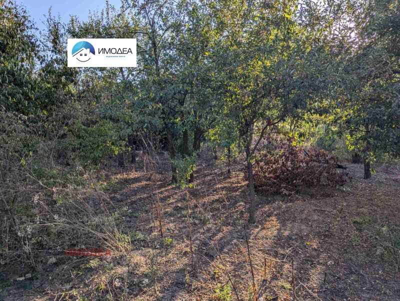 Продава  Къща област Велико Търново , с. Присово , 160 кв.м | 83034981 - изображение [12]