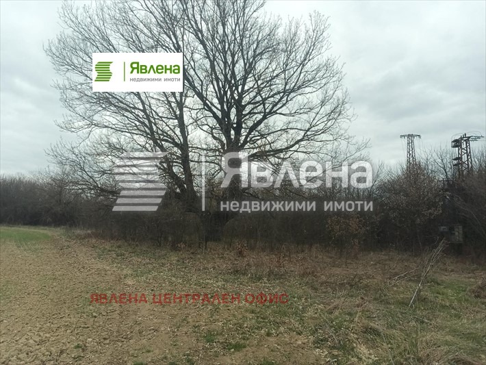 Продава ПАРЦЕЛ, с. Джурово, област София област, снимка 2 - Парцели - 54745148