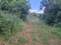 Продава ПАРЦЕЛ, с. Ново село, област Стара Загора, снимка 4