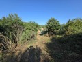 Продава ПАРЦЕЛ, с. Ново село, област Стара Загора, снимка 2