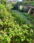 Продава ЕТАЖ ОТ КЪЩА, град Пазарджик, Център • 85000 € • 81028000 — Holmes.bg