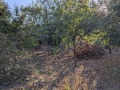 Продава КЪЩА, област Велико Търново, с. Присово • 90000 € / 176024.70 лв. • 49595239 12