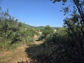 Продава  Парцел област Стара Загора , с. Ново село , 790 кв.м | 14733830 - изображение [4]