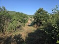 Продава  Парцел област Стара Загора , с. Ново село , 790 кв.м | 14733830 - изображение [3]