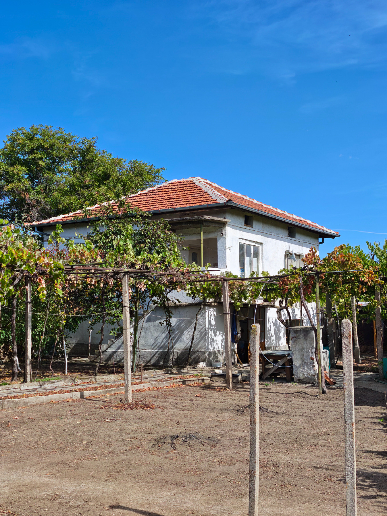 ������� ���� | Imot.bg � ����������� 1
