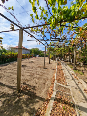 ������� ���� | Imot.bg � ����� ������ 15