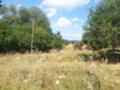 Продава ПАРЦЕЛ, гр. София, с. Плана, снимка 3
