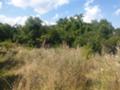 Продава ПАРЦЕЛ, гр. София, с. Плана, снимка 1