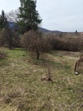 Продава КЪЩА, област Перник, с. Кленовик • 60000 € • 22484502 — Holmes.bg